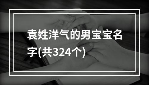 袁姓洋气的男宝宝名字(共324个)