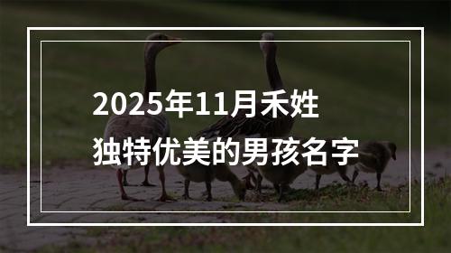 2025年11月禾姓独特优美的男孩名字