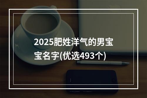 2025肥姓洋气的男宝宝名字(优选493个)