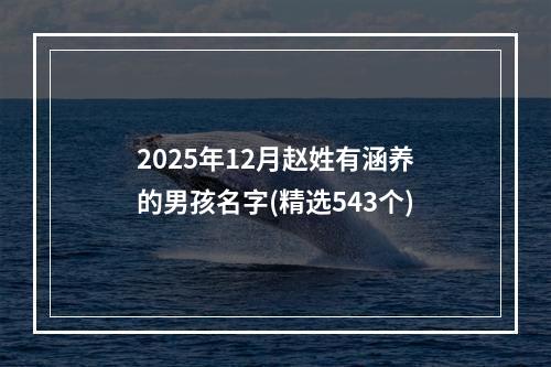 2025年12月赵姓有涵养的男孩名字(精选543个)