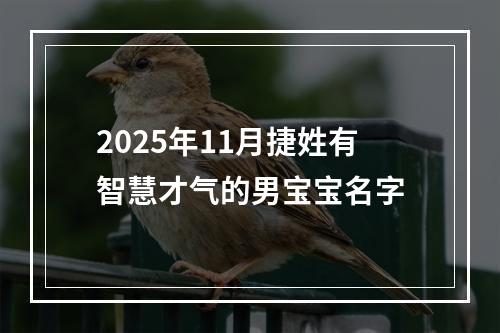 2025年11月捷姓有智慧才气的男宝宝名字