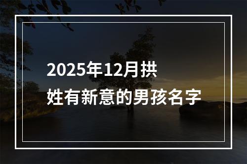 2025年12月拱姓有新意的男孩名字