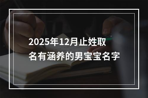2025年12月止姓取名有涵养的男宝宝名字