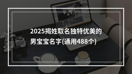 2025揭姓取名独特优美的男宝宝名字(通用488个)