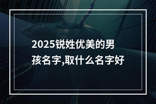 2025锐姓优美的男孩名字,取什么名字好