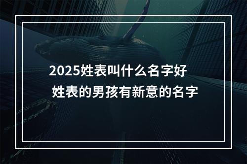 2025姓表叫什么名字好 姓表的男孩有新意的名字