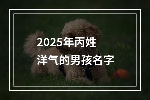 2025年丙姓洋气的男孩名字