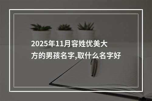 2025年11月容姓优美大方的男孩名字,取什么名字好