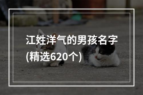 江姓洋气的男孩名字(精选620个)