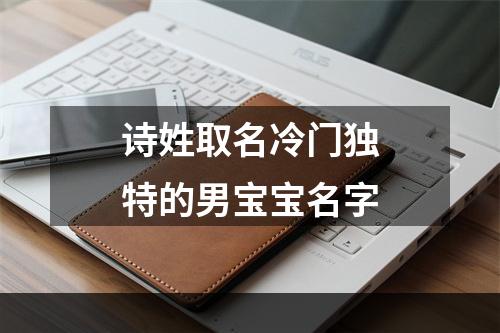 诗姓取名冷门独特的男宝宝名字