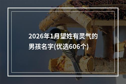 2026年1月望姓有灵气的男孩名字(优选606个)