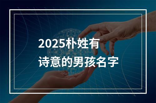 2025朴姓有诗意的男孩名字