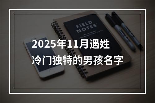 2025年11月遇姓冷门独特的男孩名字