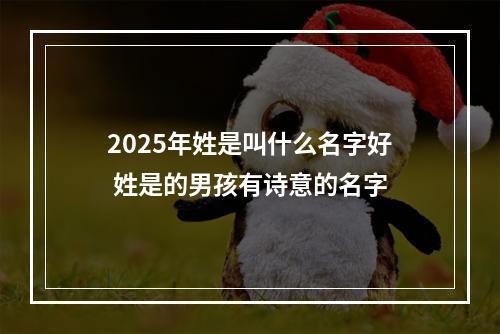 2025年姓是叫什么名字好 姓是的男孩有诗意的名字
