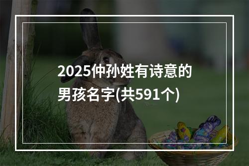 2025仲孙姓有诗意的男孩名字(共591个)