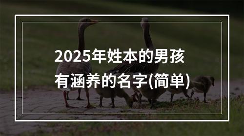2025年姓本的男孩有涵养的名字(简单)