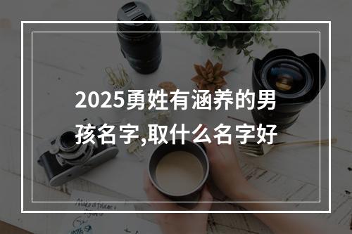 2025勇姓有涵养的男孩名字,取什么名字好