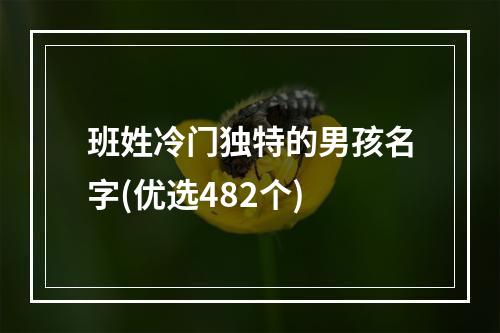 班姓冷门独特的男孩名字(优选482个)