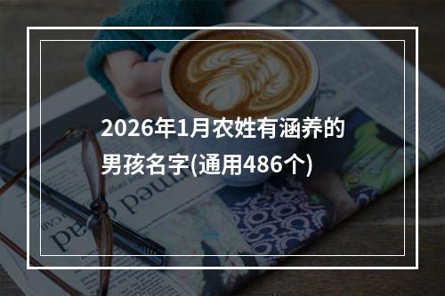 2026年1月农姓有涵养的男孩名字(通用486个)