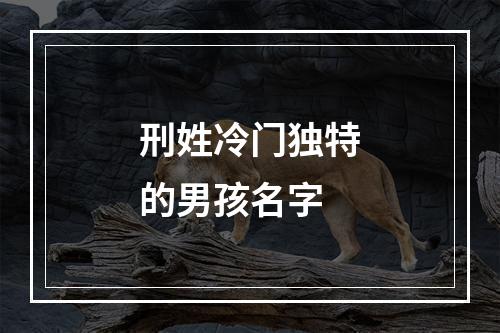 刑姓冷门独特的男孩名字