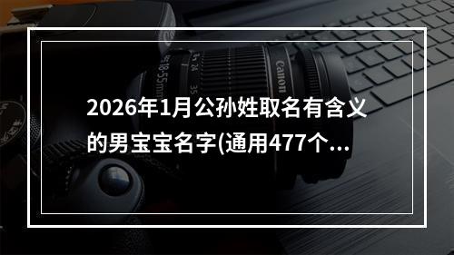 2026年1月公孙姓取名有含义的男宝宝名字(通用477个)