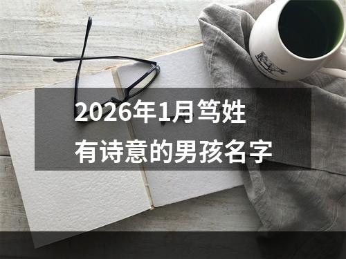 2026年1月笃姓有诗意的男孩名字