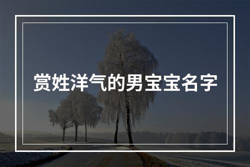 赏姓洋气的男宝宝名字