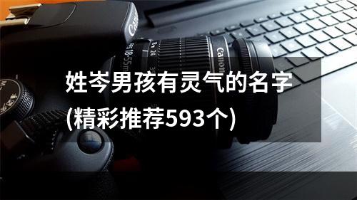 姓岑男孩有灵气的名字(精彩推荐593个)