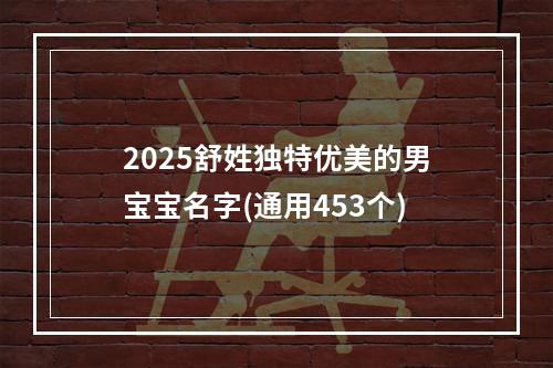 2025舒姓独特优美的男宝宝名字(通用453个)