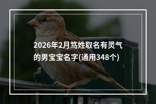 2026年2月笃姓取名有灵气的男宝宝名字(通用348个)