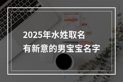 2025年水姓取名有新意的男宝宝名字
