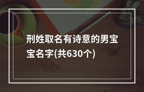 刑姓取名有诗意的男宝宝名字(共630个)