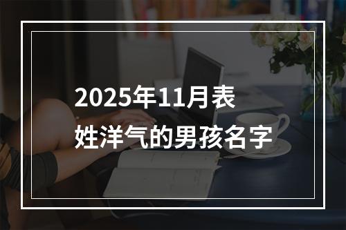2025年11月表姓洋气的男孩名字