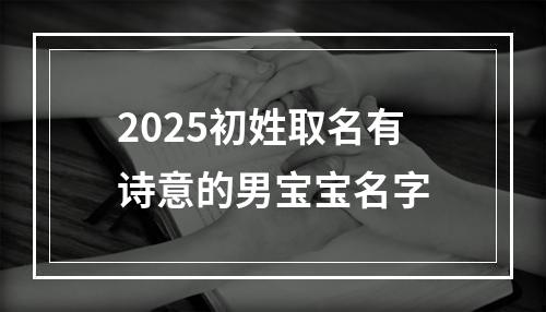 2025初姓取名有诗意的男宝宝名字