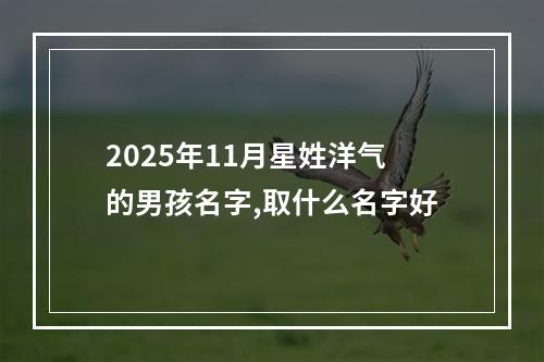 2025年11月星姓洋气的男孩名字,取什么名字好
