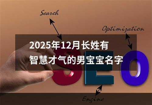 2025年12月长姓有智慧才气的男宝宝名字