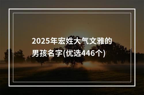2025年宏姓大气文雅的男孩名字(优选446个)