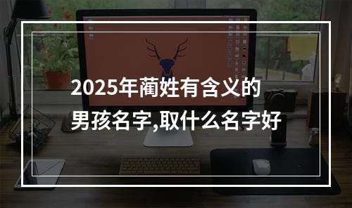 2025年蔺姓有含义的男孩名字,取什么名字好