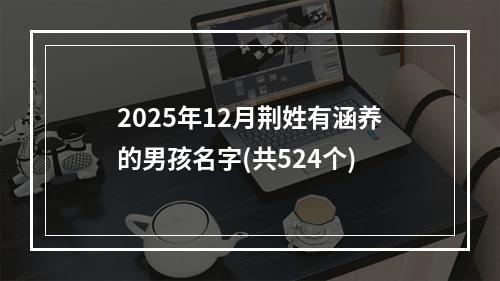 2025年12月荆姓有涵养的男孩名字(共524个)
