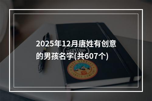 2025年12月唐姓有创意的男孩名字(共607个)