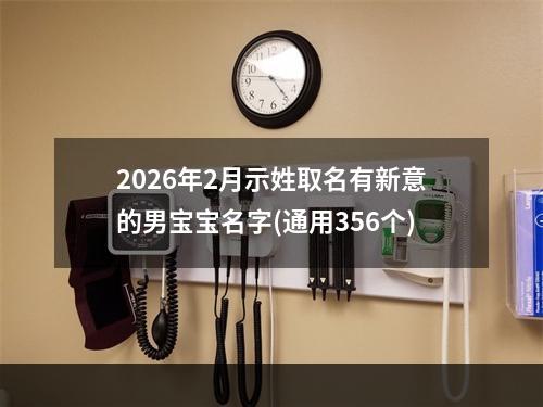 2026年2月示姓取名有新意的男宝宝名字(通用356个)