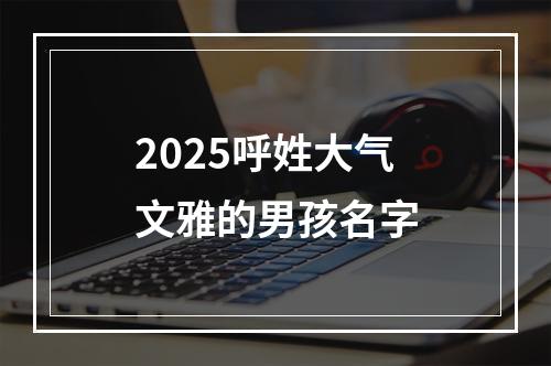 2025呼姓大气文雅的男孩名字