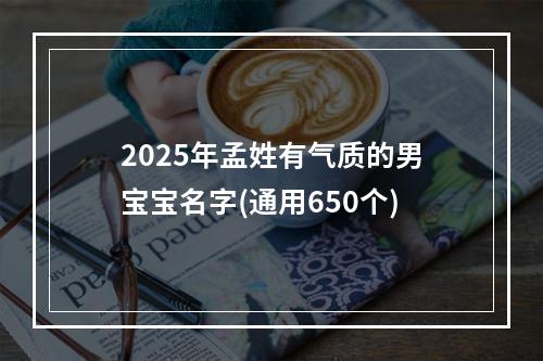 2025年孟姓有气质的男宝宝名字(通用650个)