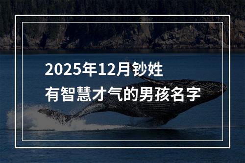 2025年12月钞姓有智慧才气的男孩名字