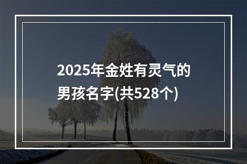 2025年金姓有灵气的男孩名字(共528个)
