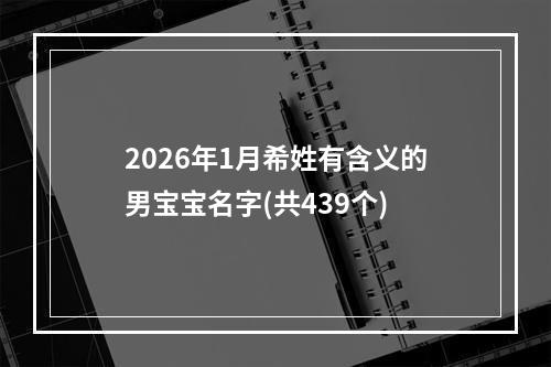 2026年1月希姓有含义的男宝宝名字(共439个)