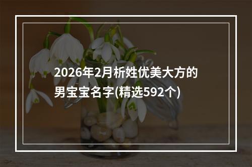 2026年2月析姓优美大方的男宝宝名字(精选592个)