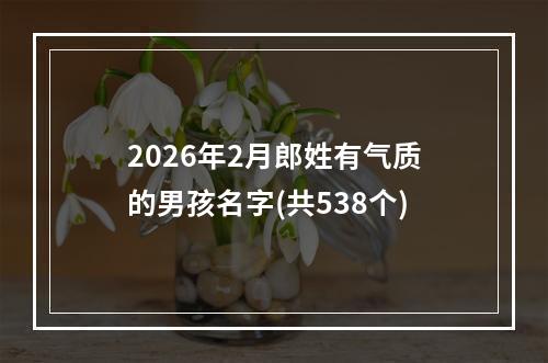 2026年2月郎姓有气质的男孩名字(共538个)