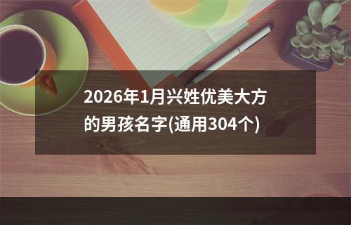 2026年1月兴姓优美大方的男孩名字(通用304个)