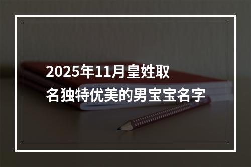 2025年11月皇姓取名独特优美的男宝宝名字